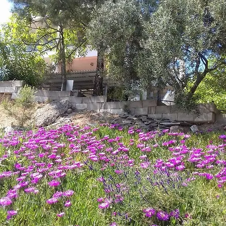 La Casa Di Anastasia - Panorama * Nea Karvali