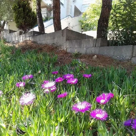 La Casa Di Anastasia - Panorama * Nea Karvali